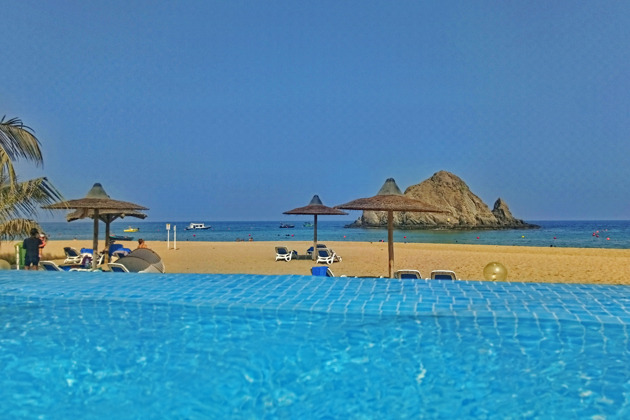 Фото - экскурсия: Поплавайте с черепахами