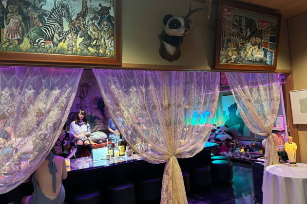 Фото экскурсии - Прогулка по кварталу Ёсивара вслед за куртизанками эпохи Эдо - 5