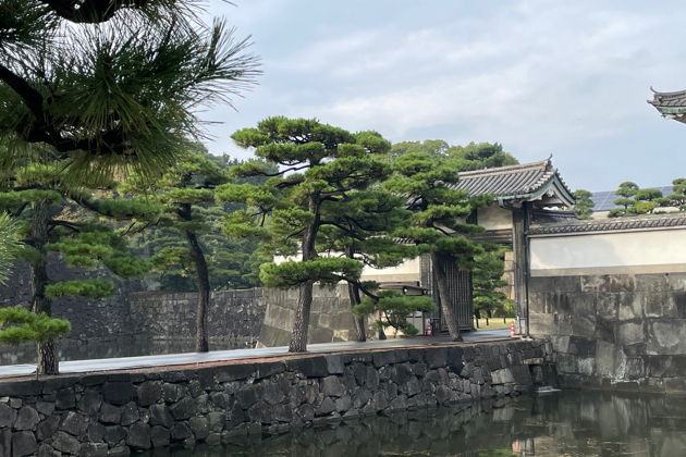 Фото экскурсии - Императорский дворец и современная монархия Японии - 10