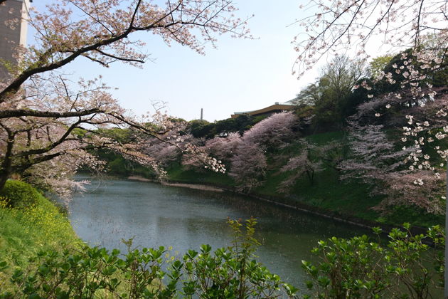Фото экскурсии - Императорский дворец и современная монархия Японии - 3