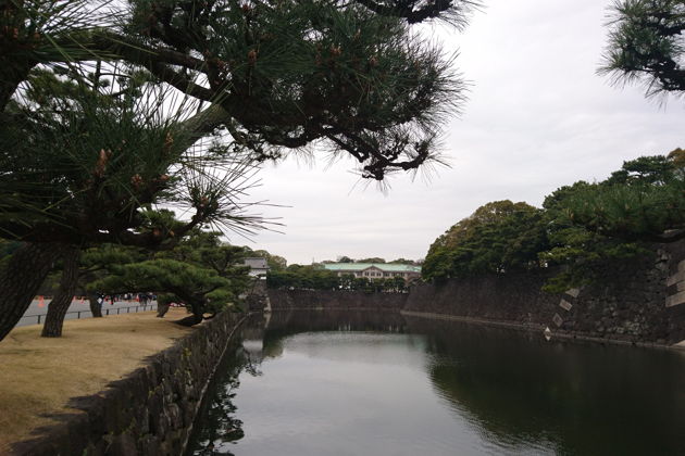 Фото экскурсии - Императорский дворец и современная монархия Японии - 4