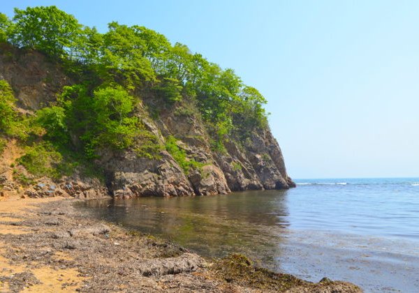 Уникальные побережья Японского моря и сафари-парк - фото 4