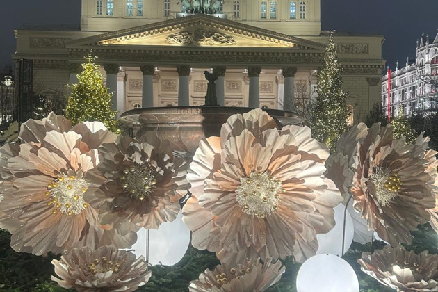 Фото - экскурсия: От Кремля до Лубянской площади — сказочное новогоднее путешествие по центру