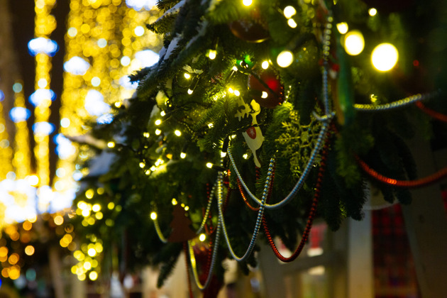 Фото - экскурсия: Обзорная экскурсия «Новогодний калейдоскоп» на вашем транспорте