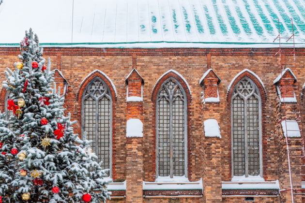 Фото экскурсии - Волшебная новогодняя ночь в загадочном замке - 8