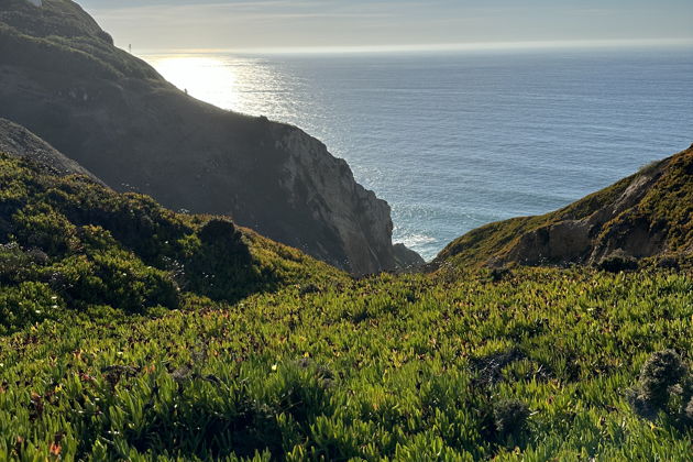 Фото экскурсии - Экскурсия в Синтру и к мысу Кабо да Рока - 8