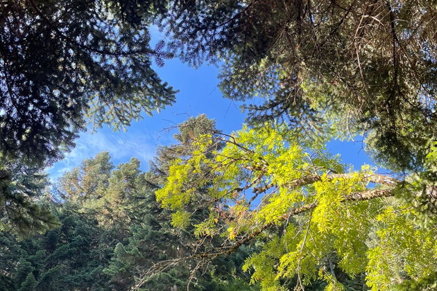 Фото экскурсии - Тур в небольшой группе: Архыз и Домбай с ночевкой в горах - 9