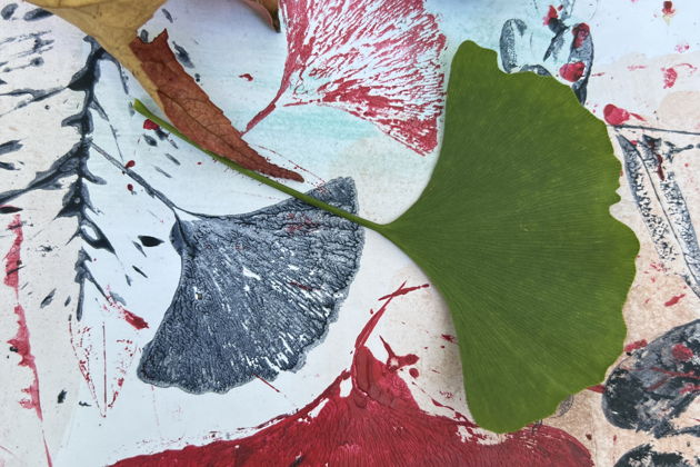 Фото экскурсии - Прогулка по парку Ривьера и создание новогодней открытки на мастер-классе - 12