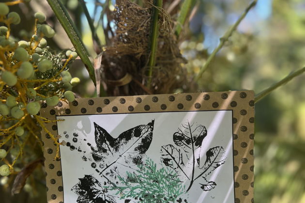 Фото экскурсии - Прогулка по парку Ривьера и создание новогодней открытки на мастер-классе - 6