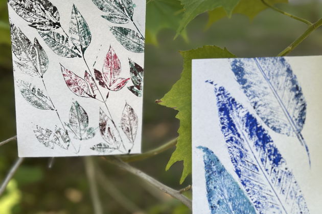 Фото экскурсии - Прогулка по парку Ривьера и создание новогодней открытки на мастер-классе - 8