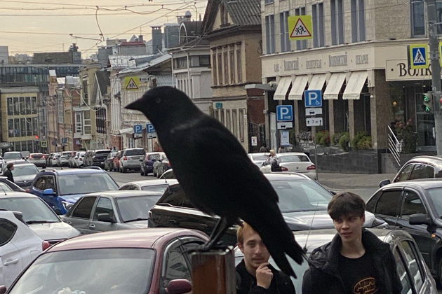 Фото экскурсии - Прогуляться по Нижнему - 12