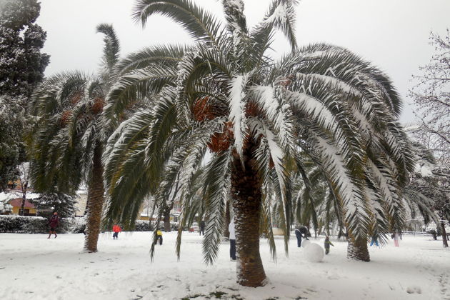 Фото экскурсии - Сочи, новогоднее море и праздничное настроение - 6