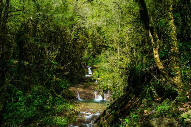 Фото экскурсии - 33 водопада и гостеприимное застолье в горах Кавказа - 4