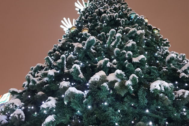 Фото экскурсии - Волшебный калейдоскоп Самары: аудиогид по сказочным уголкам города - 13