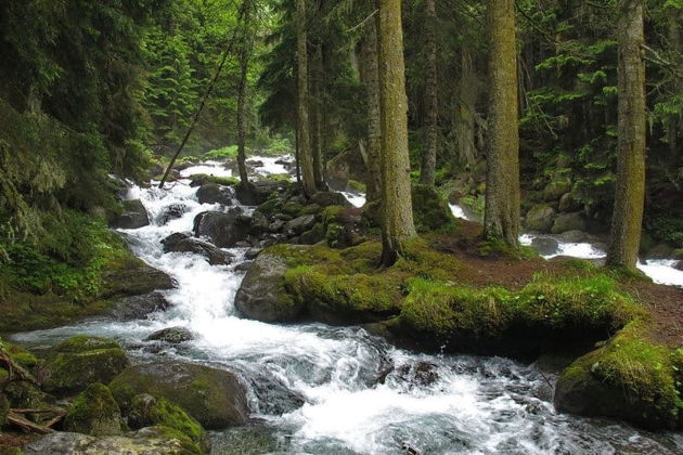 Фото экскурсии - Домбай - место, где обитает душа Кавказских гор - 1