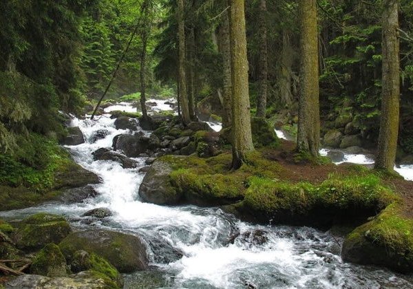 В Домбай — туда, где таится душа Кавказских гор - фото 1