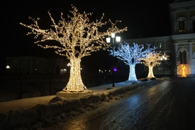 Фото экскурсии - Рождественское путешествие в Дивеево и Арзамас - 1