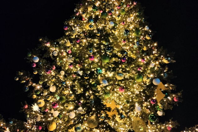 Фото экскурсии - Рождественское путешествие в Дивеево и Арзамас - 5