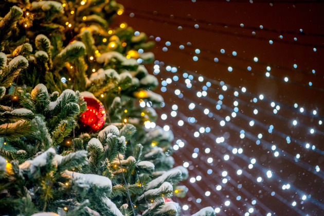 Фото - экскурсия: Новогодний Новосибирск ждет вас