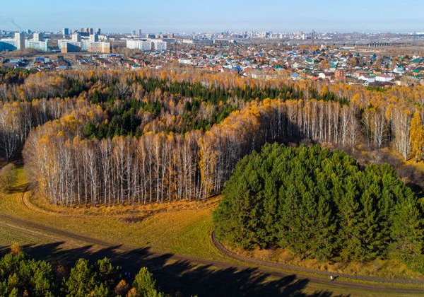 «Кругосветное путешествие» по новосибирским наукоградам - фото 4