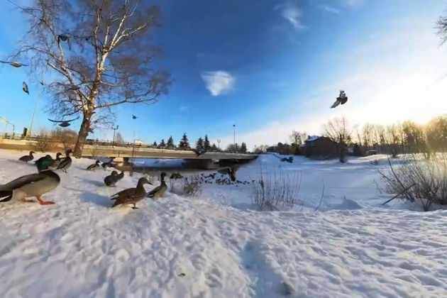 Фото экскурсии - Прогулка по Переславлю-Залесскому от старинных укреплений до знаменитой лодки Петра - 15