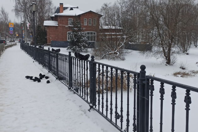 Фото экскурсии - Прогулка по Переславлю-Залесскому от старинных укреплений до знаменитой лодки Петра - 7