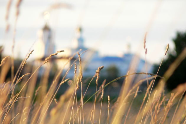 Фото экскурсии - История в деталях: групповая прогулка по старому Суздалю - 13