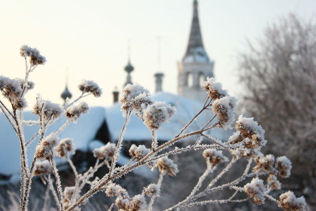 Фото экскурсии - История в деталях: групповая прогулка по старому Суздалю - 8