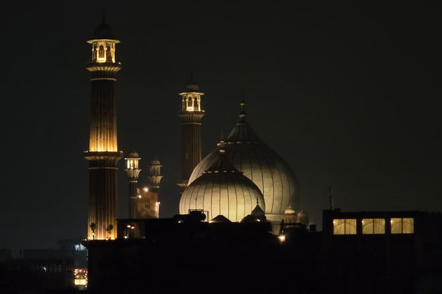 Фото экскурсии - Дели от древних храмов до современных небоскребов - 13