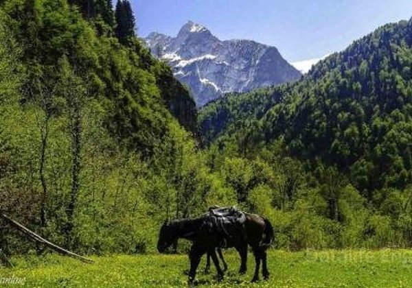 Конная прогулка в Адлере - фото 1
