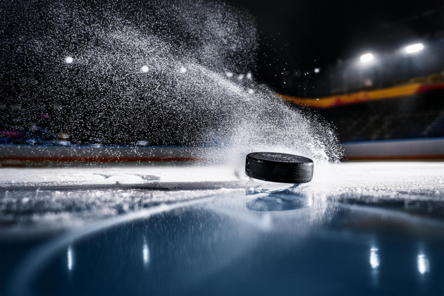 Фото - экскурсия: Хоккейный Новосибирск самый зимний вид спорта