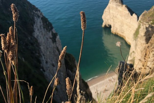 Фото экскурсии - Нормандия за один день: Руан, Довиль, Этрета и рыбный рынок с пикником - 11