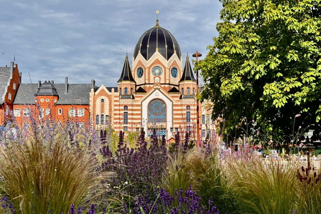 Фото экскурсии - Открываем тайны Балтики: поездка в Янтарный и Балтийск - 9