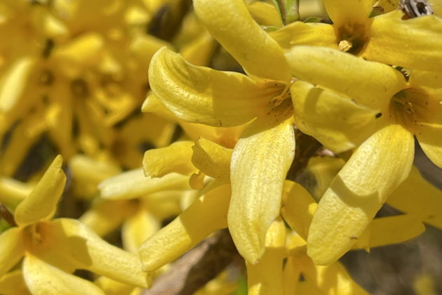 Фото экскурсии - Открываем тайны Балтики: поездка в Янтарный и Балтийск - 7