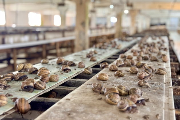 Фото экскурсии - Коломна и крокодилье королевство — с мастер-классами и дегустациями - 6