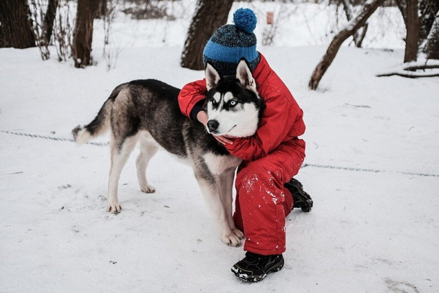 Фото - экскурсия: Новогодние приключения у Белого Клыка: путешествие в питомник хаски