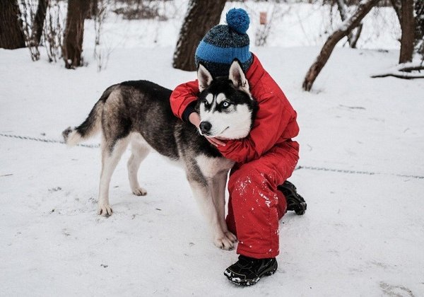 Новогодние приключения у Белого Клыка