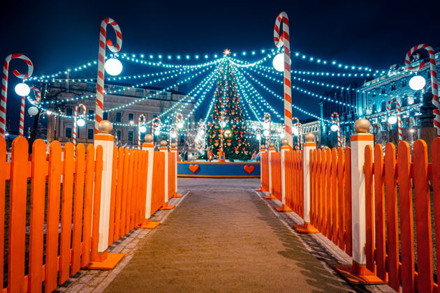 Фото экскурсии - Новогоднее автобусное путешествие по волшебному Санкт-Петербургу - 6