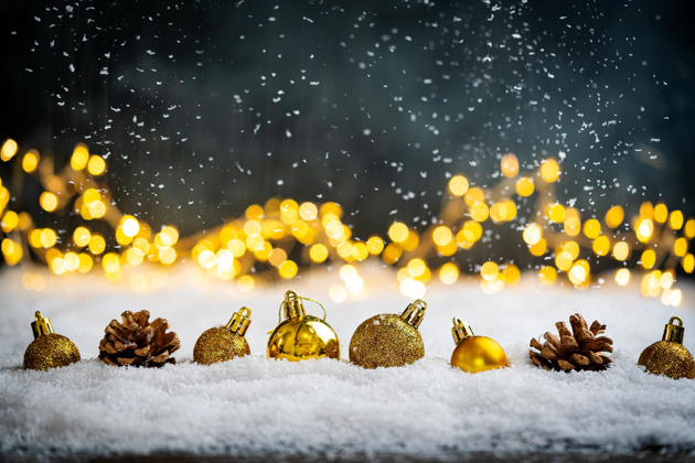 Фото - экскурсия: Встречаем Новый год на яхте в порту Адлера