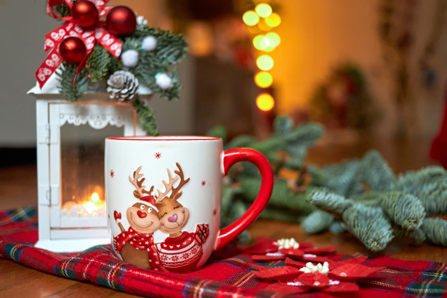 Фото - экскурсия: Волшебная атмосфера праздника: поездка в Выборг