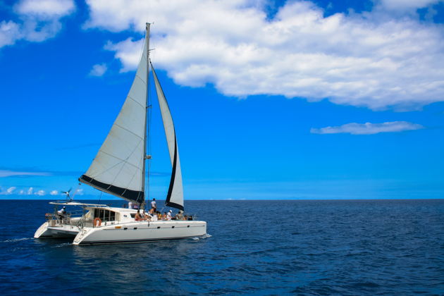 Фото экскурсии - Прогулка на парусном катамаране: три часа наслаждения океанскими просторами - 4