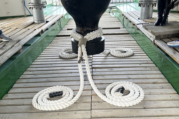 Фото экскурсии - Погружение в духовное наследие России с подъемом на старинную колокольню - 6