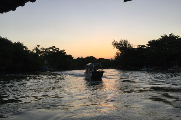 Фото экскурсии - Лодочная экскурсия по Пантаналу к острову Жигоя и кайманам - 3