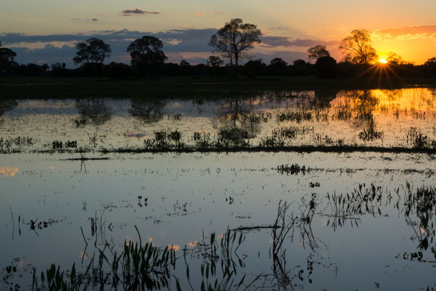 Фото экскурсии - Лодочная экскурсия по Пантаналу к острову Жигоя и кайманам - 6