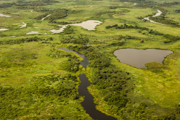 Фото - экскурсия: Лодочная экскурсия по Пантаналу к острову Жигоя и кайманам