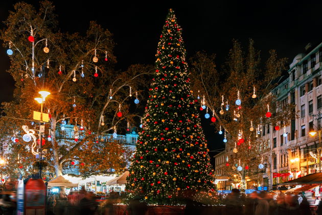 Фото экскурсии - Праздничная прогулка по Кенигсбергу: история рождественских традиций - 5