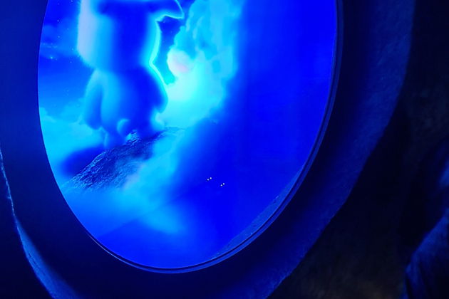 Фото экскурсии - Парк Краснодар: путь к небесам - 2