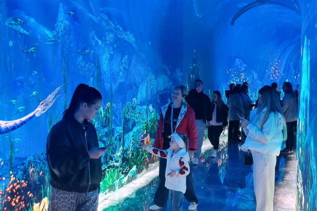 Фото экскурсии - Парк Краснодар: путь к небесам - 4