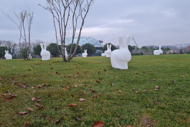 Фото экскурсии - Парк Краснодар: путь к небесам - 8