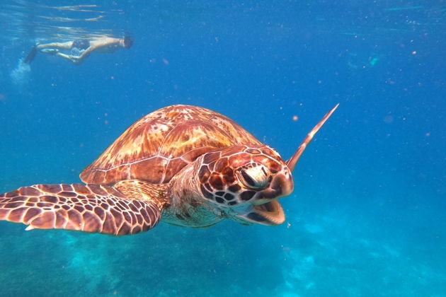 Фото экскурсии - Симиланы. Лучшие пляжи мира ждут вас! Все Включено, Расширенная программа! - 1